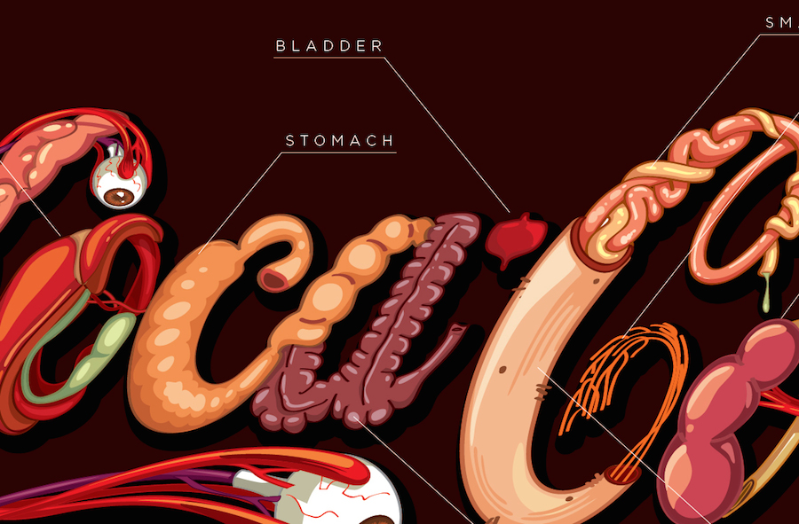 coca_cola organs