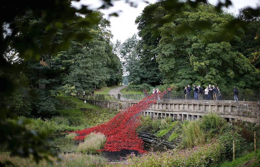 Wave Installation Made of Poppies Sculptures