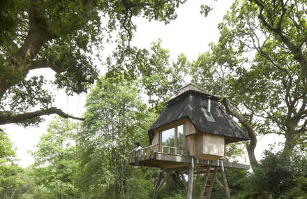 Wooden Little House on Stilts