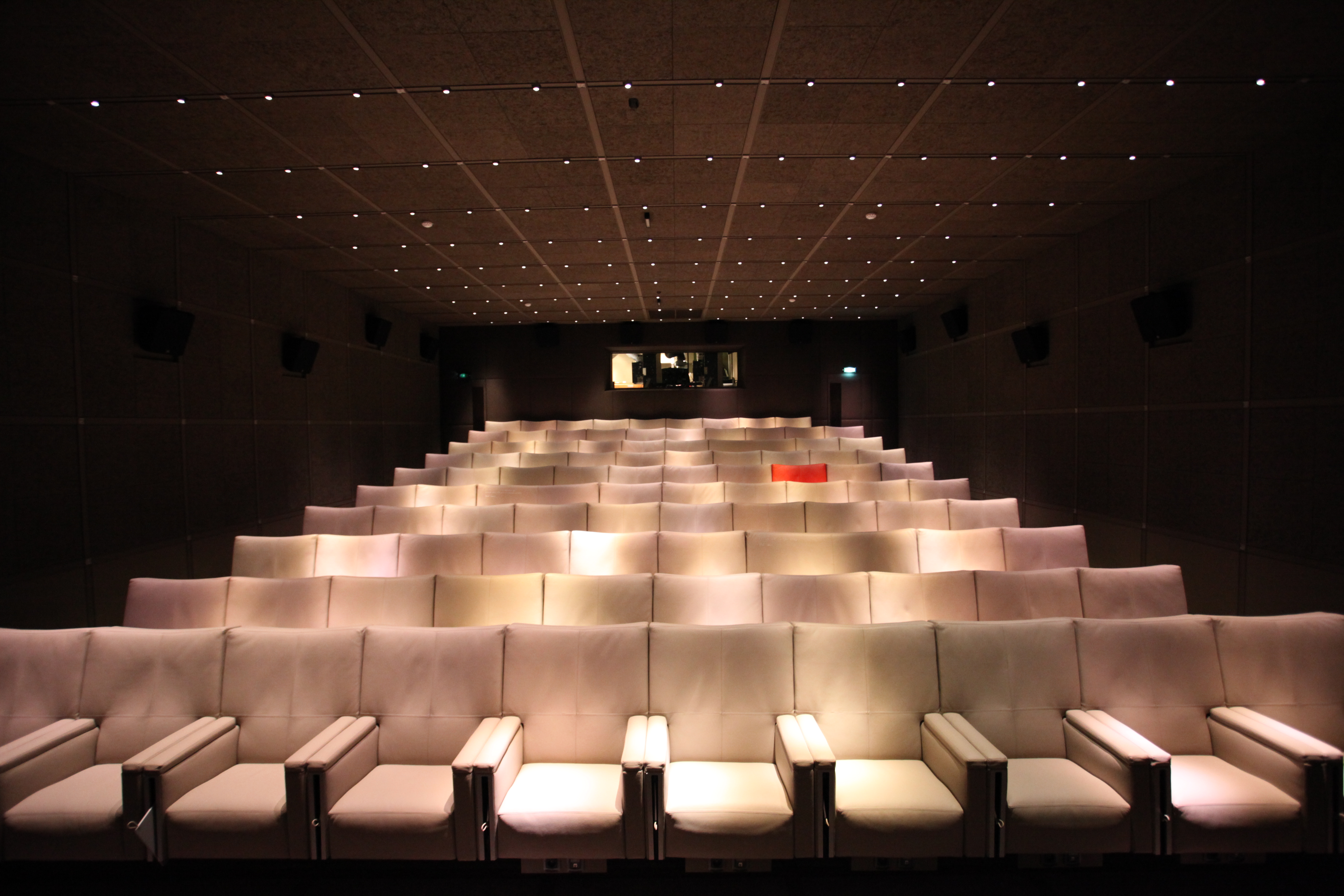 Le Royal Monceau Raffles Paris - Katara Cinema 1