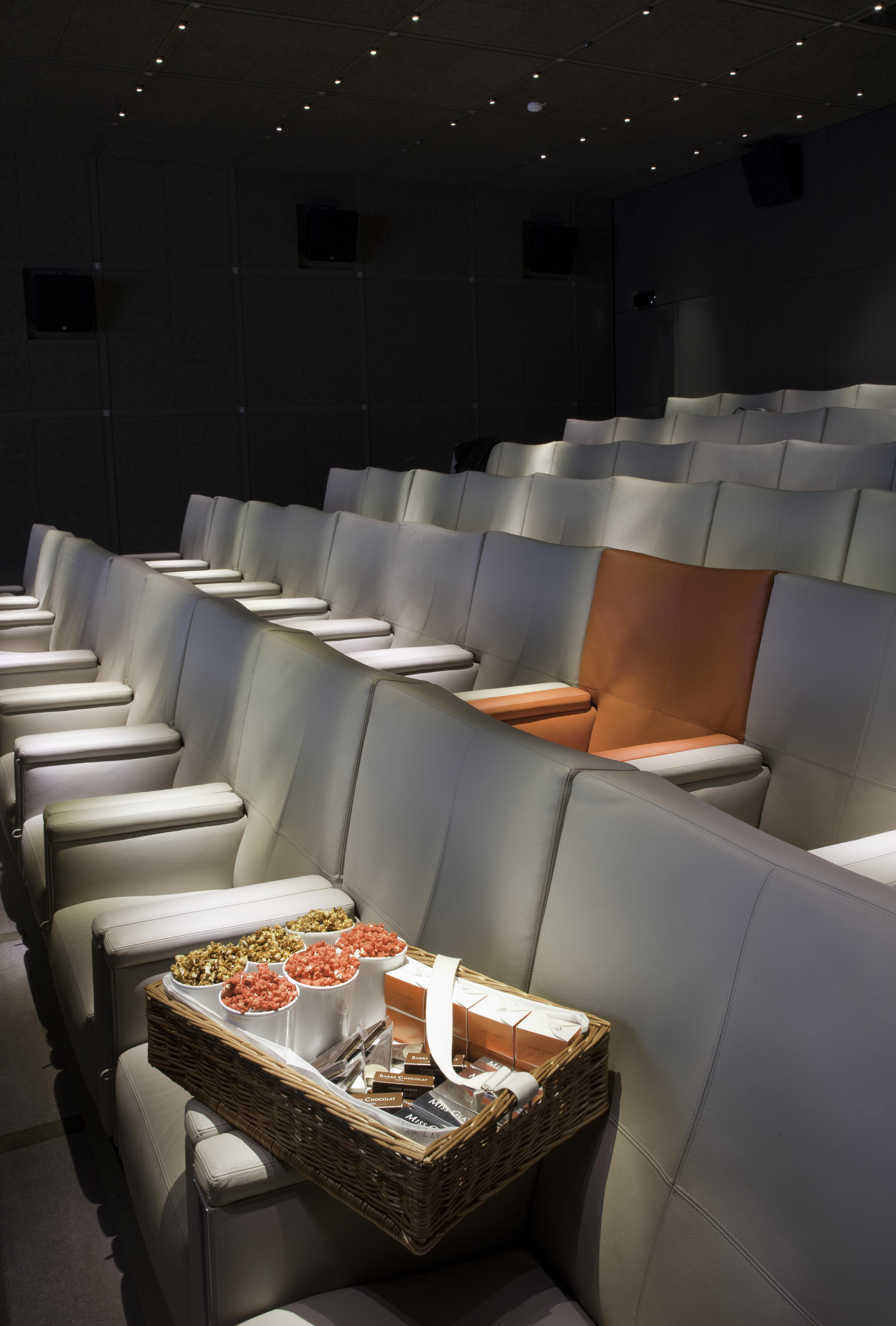 Le Royal Monceau Raffles Paris - Katara Cinema 4