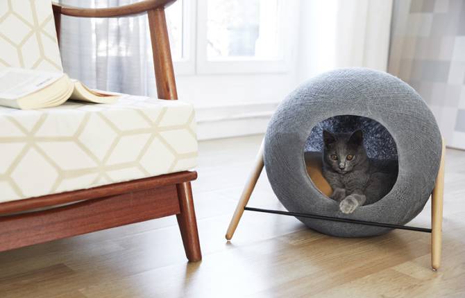 Cat Cocoons for Contemporary Interior