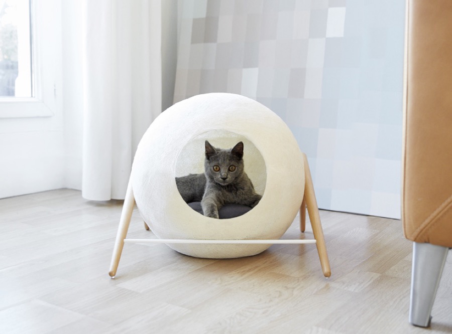 catcocoon3