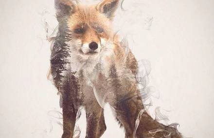 Smoky Double Exposure Animals Illustrations