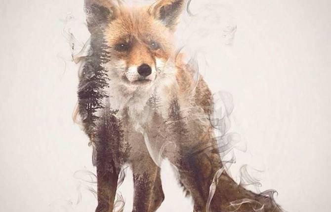 Smoky Double Exposure Animals Illustrations