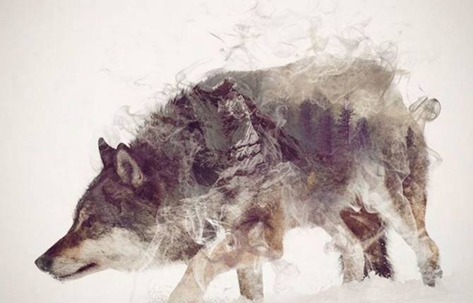 Smoky Double Exposure Animals Illustrations