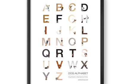 The Dog Alphabet