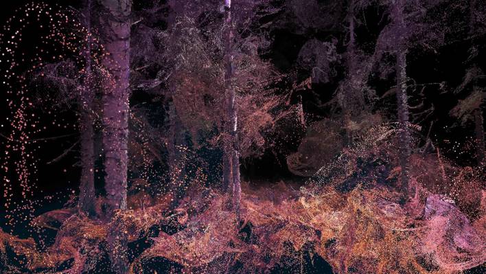 Forest Through Animal Eyes with Virtual Reality Device