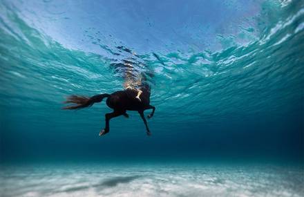 Fascinating Underwater Photographs