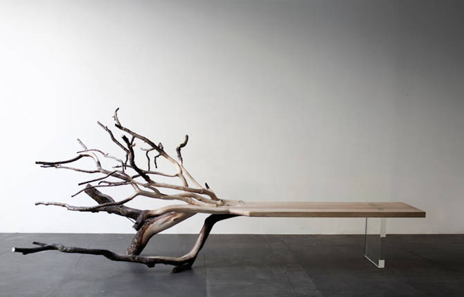 Sculptural Bench Revealing a Fallen Tree
