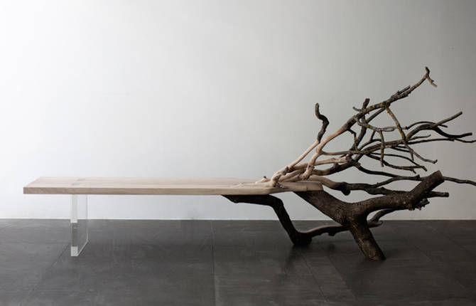 Sculptural Bench Revealing a Fallen Tree