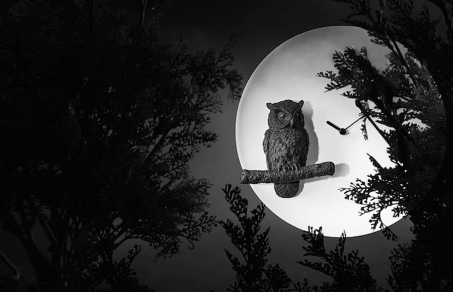 Phosphorescent Moon Clock with Nocturnal Animals