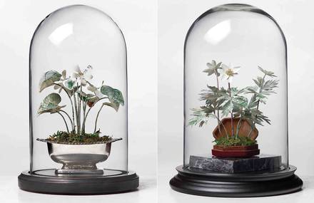 Botanical Sculptures Made of Currency