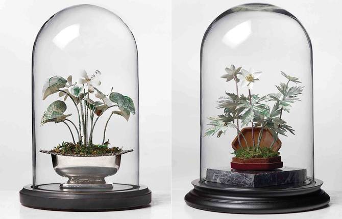 Botanical Sculptures Made of Currency