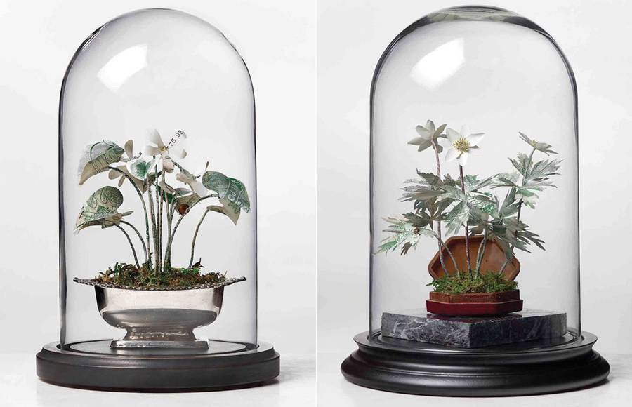 Botanical Sculptures Made of Currency
