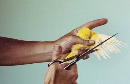 Pop & Strange Photos by Maurizio Cattelan