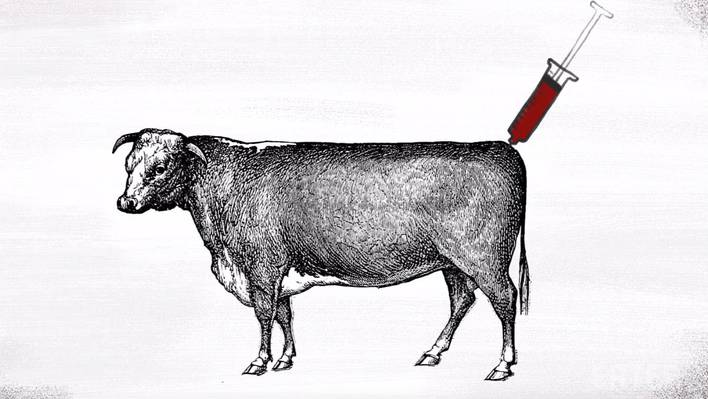 Meat of the Future