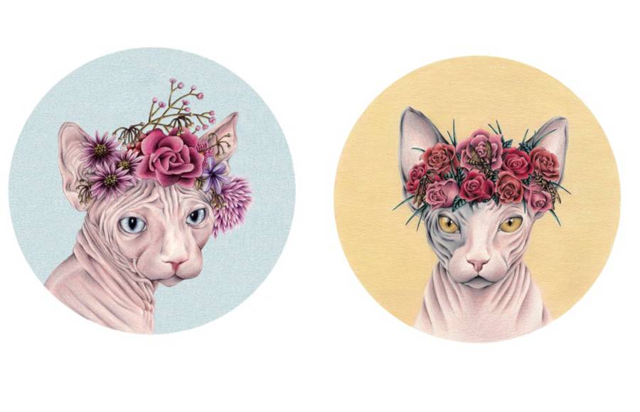 Colored Pencil Illustrations by Chloé Mickham