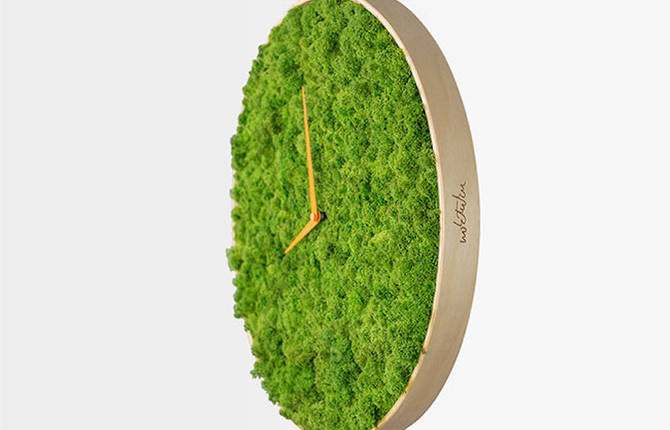 The Moss Clock