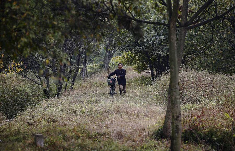 Photography of North Korea