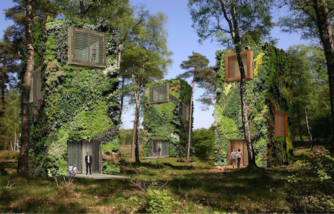 Futuristic House Designed as Trees