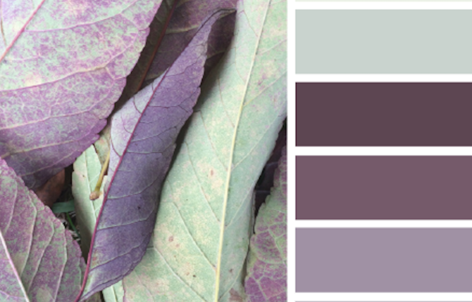 Nature Colors Palettes