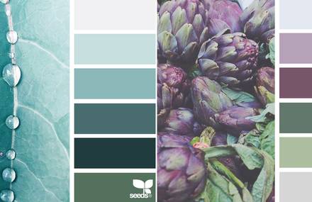 Nature Colors Palettes