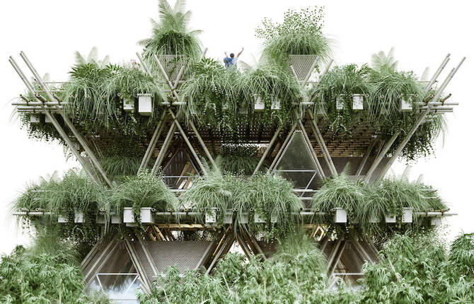 The Future City of Bamboos