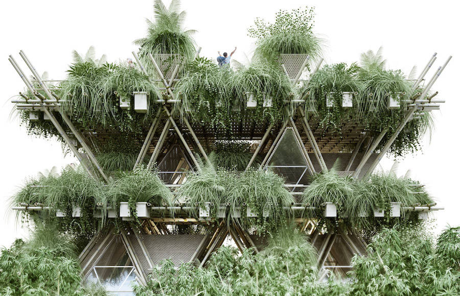 The Future City of Bamboos