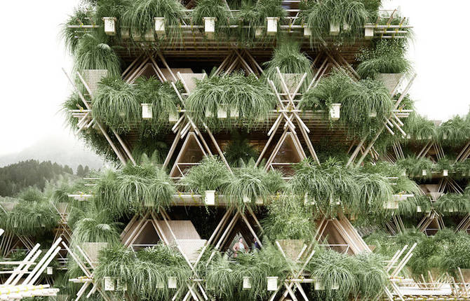 The Future City of Bamboos