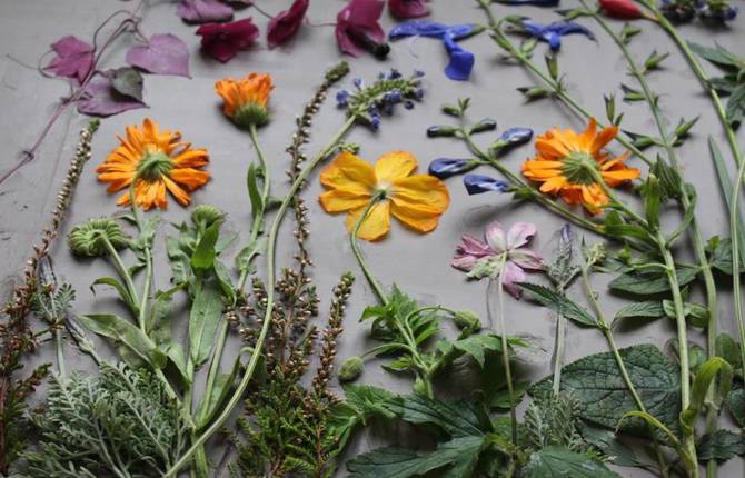 Fossils of Flowers Cast in Tiles