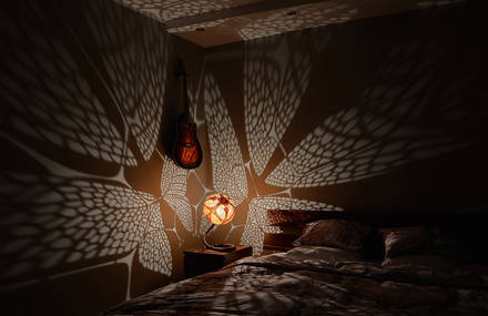 Sculptural Lamps Created from Gourds