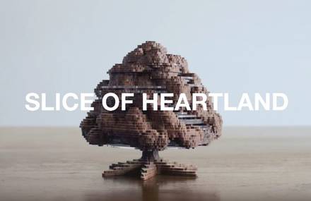 Slice of Heartland – Beautiful Tree Animation