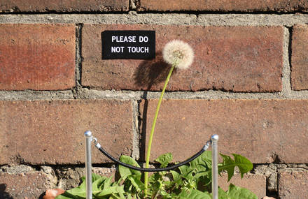 Sydney Street Signs