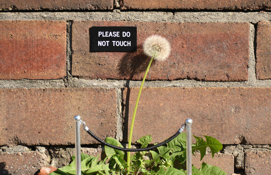 Sydney Street Signs