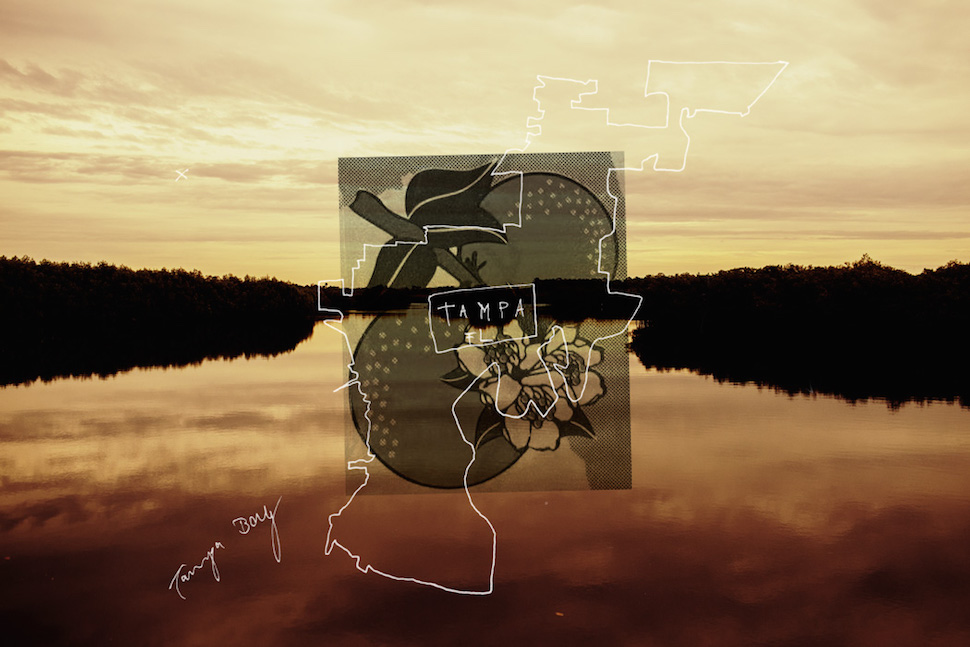 triptampa1