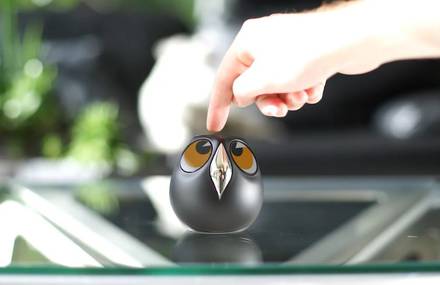 Security Camera Shaped Like a Bird