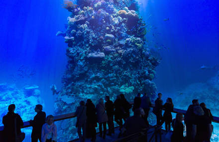 Full Scale Panorama of Australia Great Barrier Reef