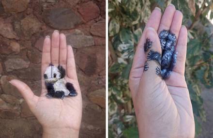 3D Illustrations on Palms