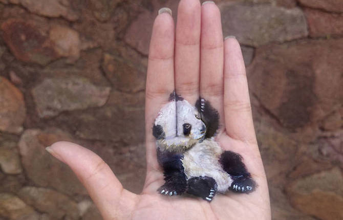 3D Illustrations on Palms