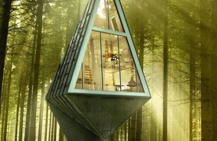 Tree-Inspired Single Pole Home