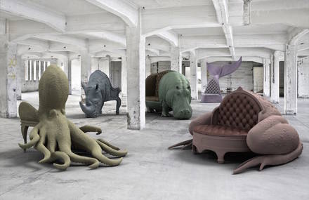 Animal Chair Collection