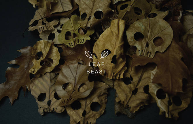 Skulls Leaf Beast Series