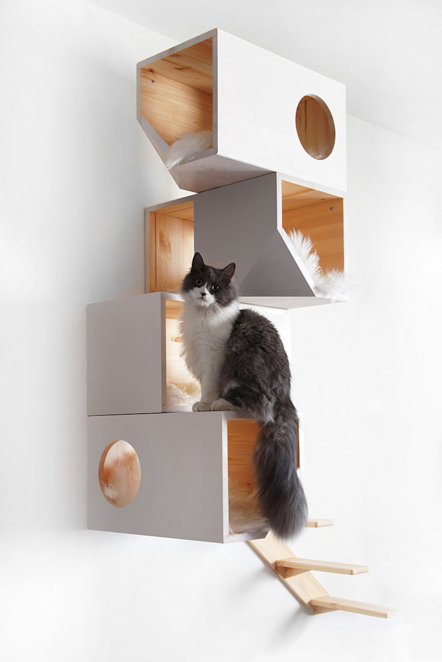 geomtricalcattree4