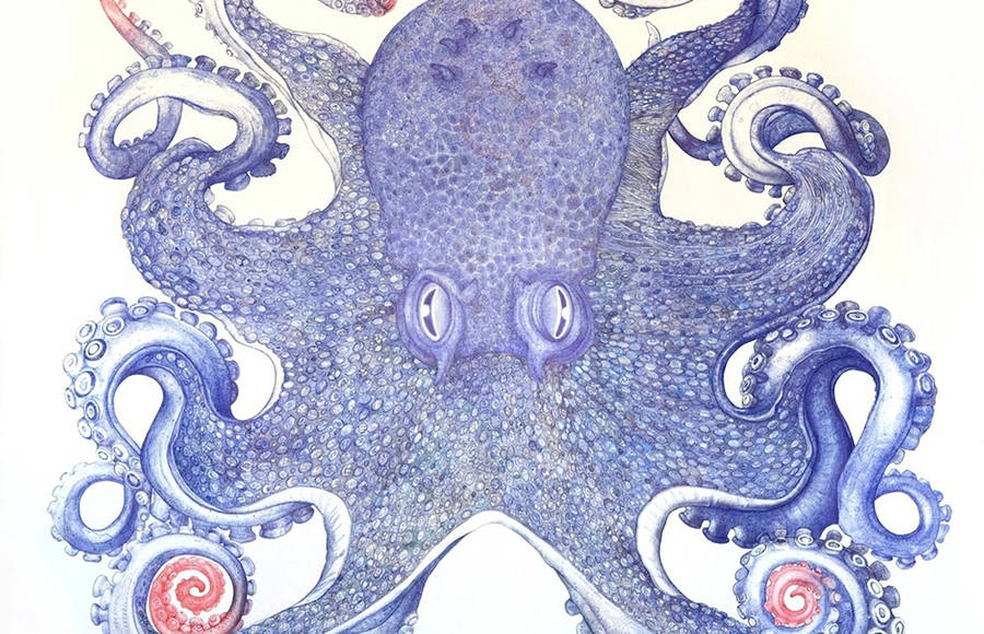 Giant Ballpoint Pen Octopus Drawing