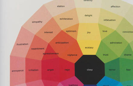Book Year of Emotions Seen as Colors