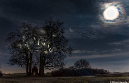 Portraits Mapping Projected on Trees and Rocks