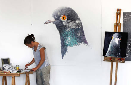 Photorealistic Portraits of a Pigeon