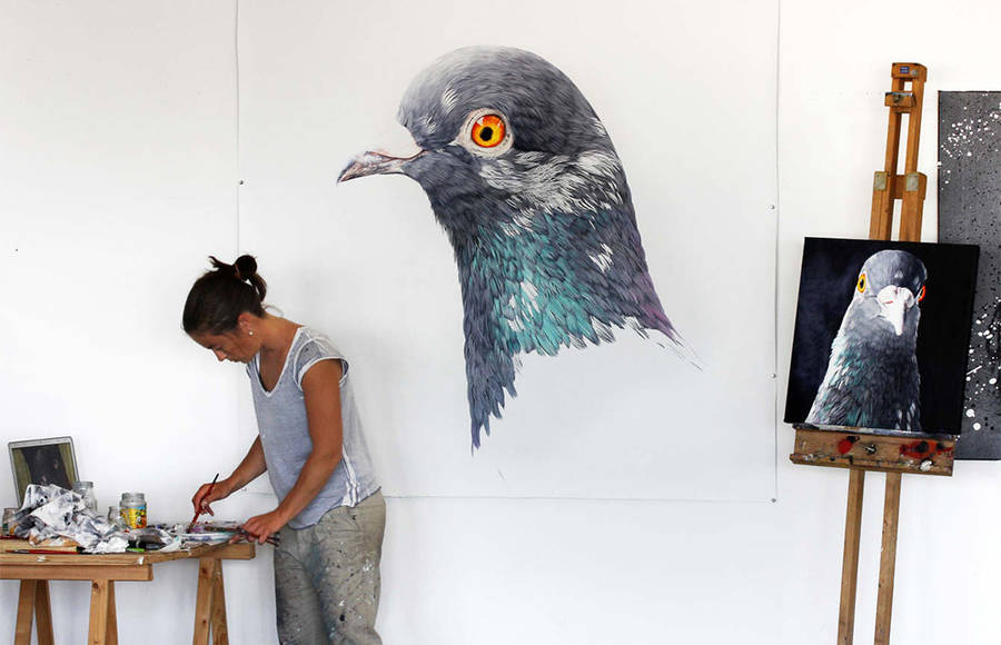 Photorealistic Portraits of a Pigeon