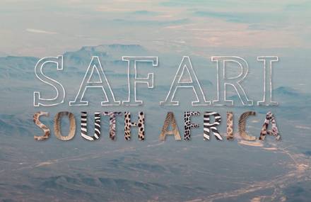 Safari South Africa Timelapse Film
